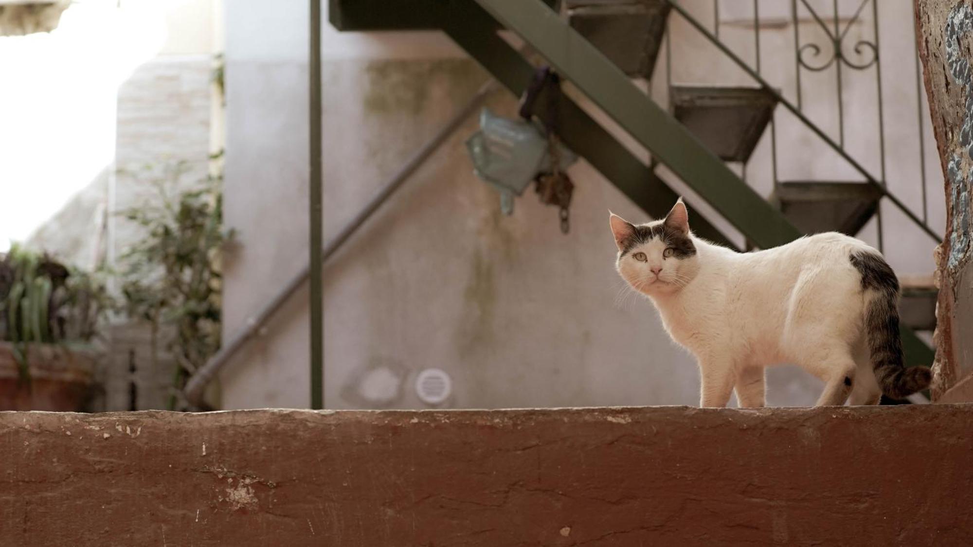 Casa Nel Borgo Dei Gatti Apartamento Cetara Exterior foto